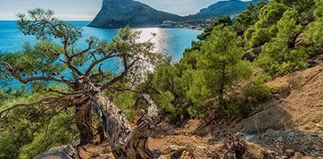 ТОП-5 мест в России для летнего отпуска в автодоме ТОРГМАШ Travel